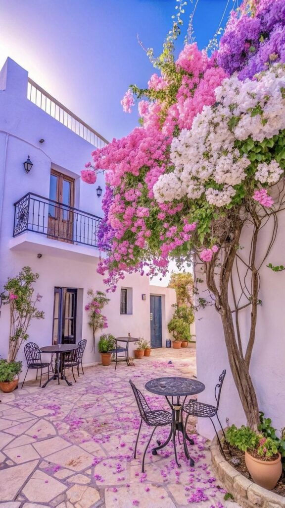 Lavender Hills lavender vista exteriors